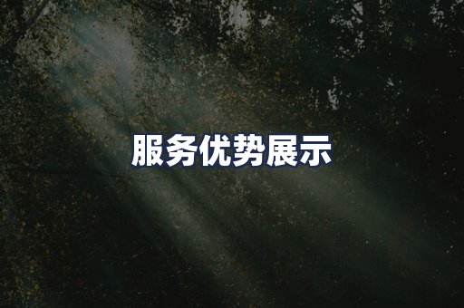 服务优势展示
